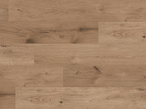 Ламинат Kaindl Masterfloor 8.0 Standard Plank Oak Ferrara Wildlife K2142 AV