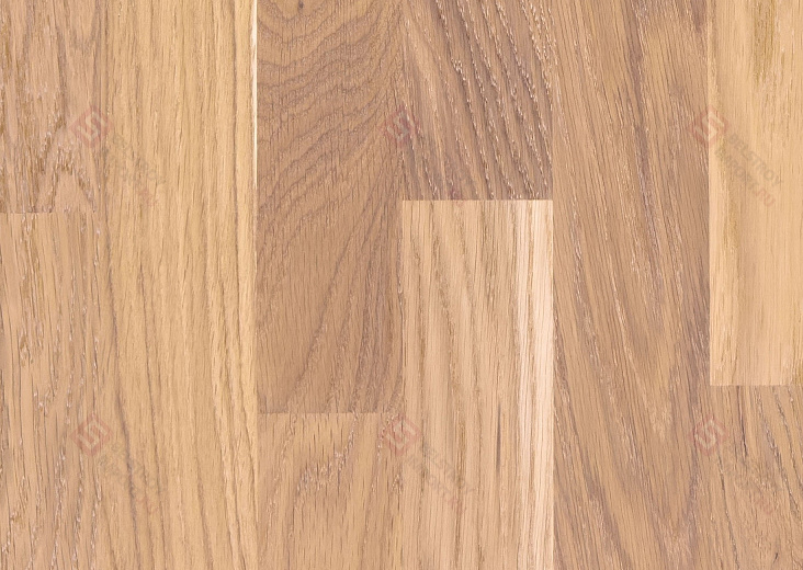 Паркетная доска Focus Floor Трехполосная Дуб Calima White Oiled 3S