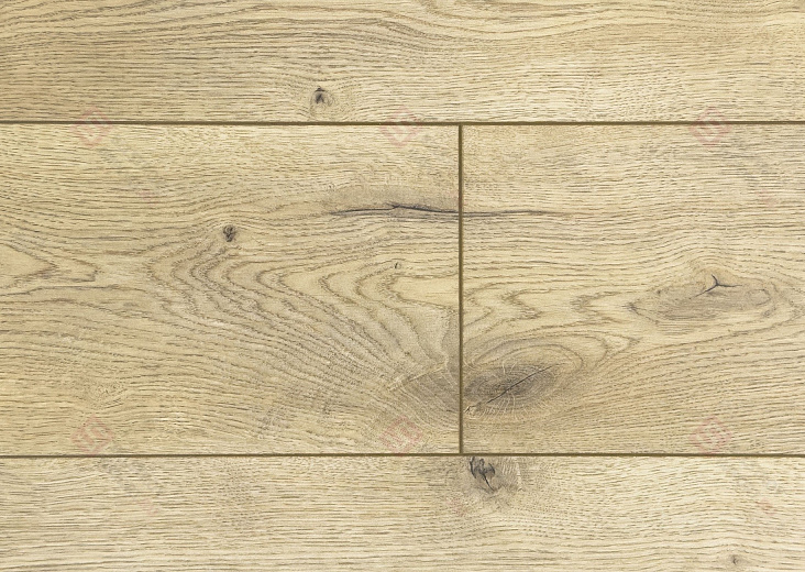 Ламинат FLoor a House Standard 12 мм Дуб Conway B 465