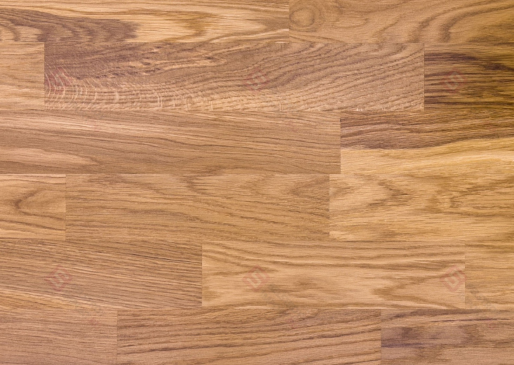 Паркетная доска Focus Floor Дуб Libeccio 3S