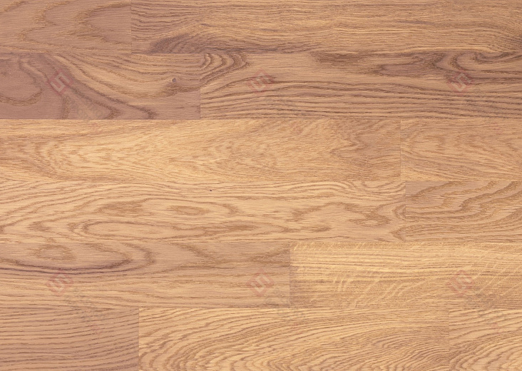 Паркетная доска Focus Floor Дуб Ostro White Matt 3S