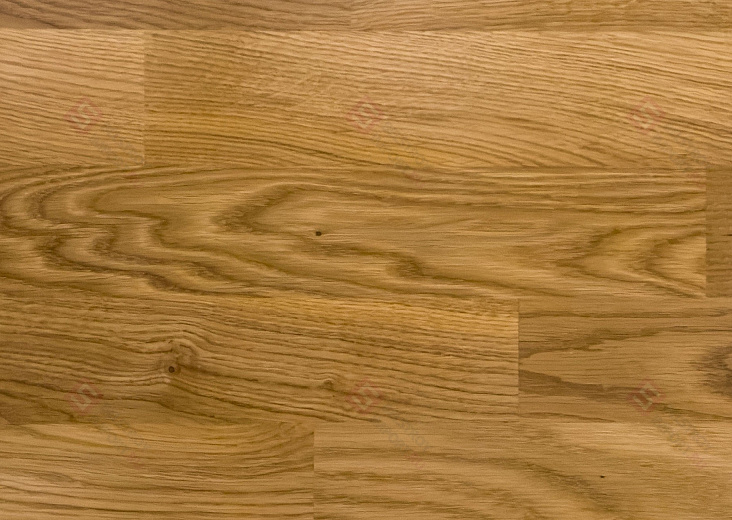 Паркетная доска Focus Floor Дуб Libeccio High Gloss 3S