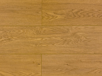 Дуб Медовый DF03-F