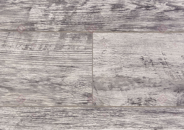 Дуб Баярд ROC43