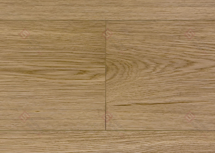 SPC ламинат Floorwood Quantum Дуб Робертс 9567