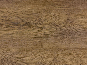 Дуб прибрежный OSPC20265