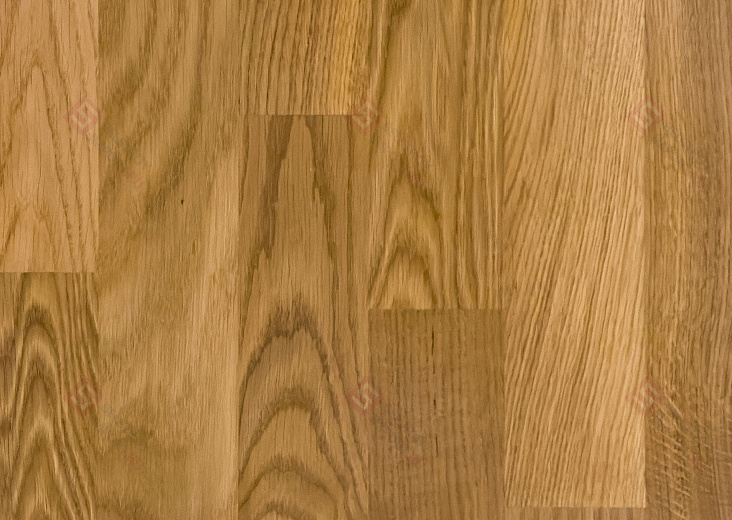 Паркетная доска Focus Floor Дуб Libeccio High Gloss 3S