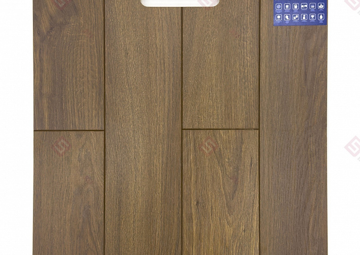 Ламинат FLoor a House Premium 10 мм Дуб Ruskeala B 618