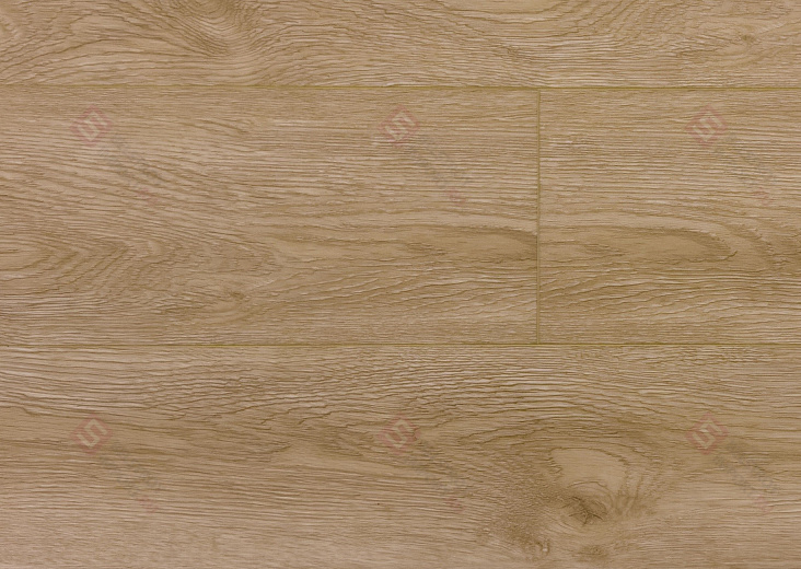 Инженерные виниловые полы EvoFloor Premium XL+ Дуб Кремовый