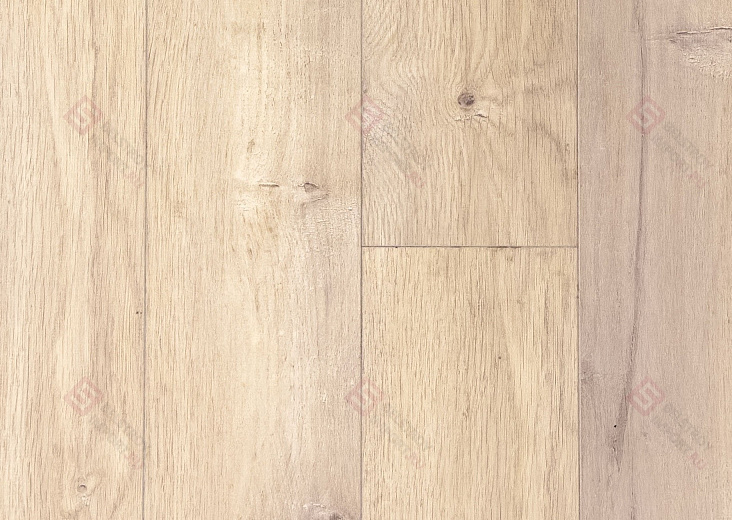 Ламинат FloorWay Standart Дуб Крем PRE63