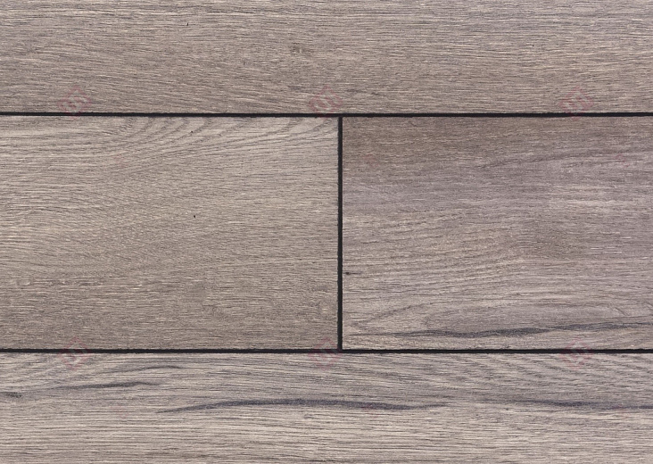 Дуб Пеллегрин ROC74