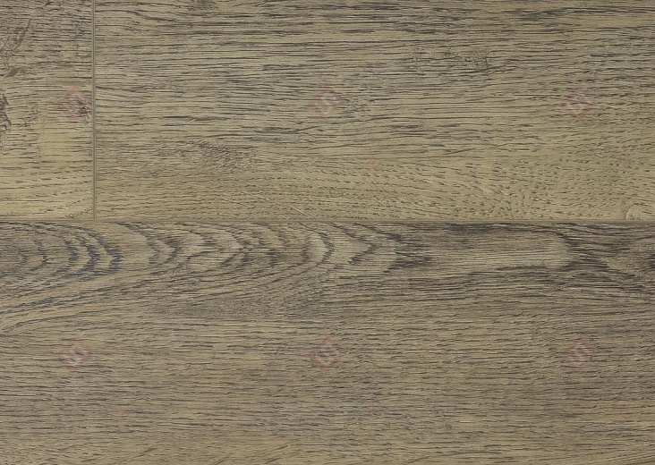SPC ламинат Floorwood Quantum Дуб Томсон 8804