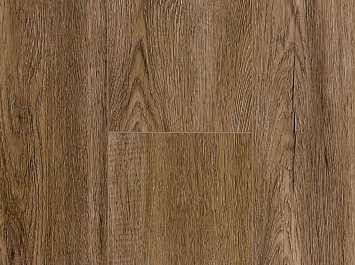 Дуб Бисмарк