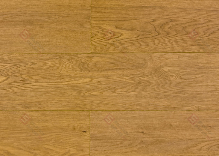 SPC ламинат Damy Floor Family Дуб Медовый DF03-F