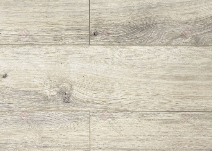 Ламинат FLoor a House Premium 10 мм Дуб Loft B 571