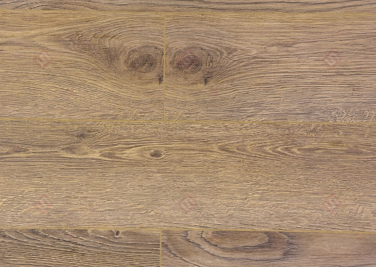 Дуб Бертон ROC46