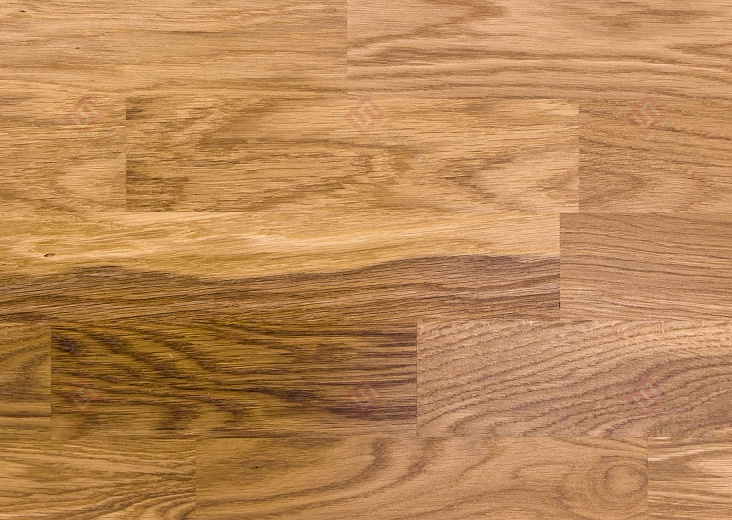 Паркетная доска Focus Floor Дуб Libeccio 3S