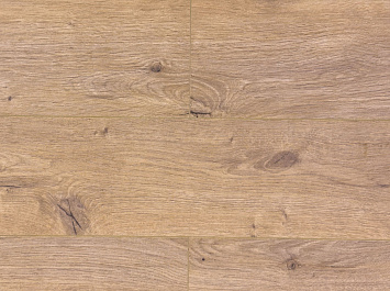 Дуб Арделан ROC45