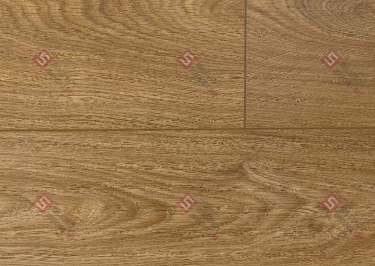 Wood 349 4V