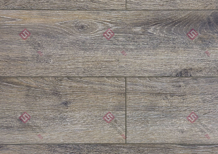 Ламинат FLoor a House Premium 10 мм Дуб Baron B 540
