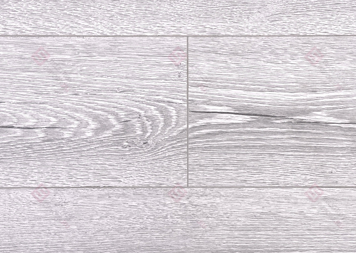 Вяз Фишер ROC03