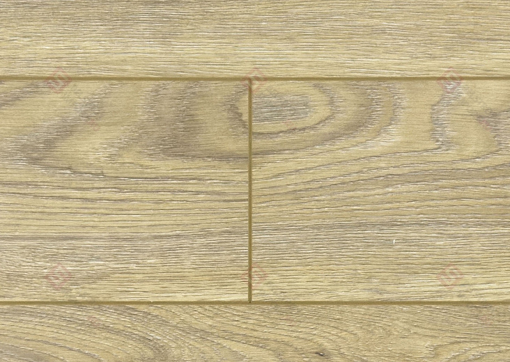 Ламинат FLoor a House Premium 10 мм Дуб Rosarno B 519