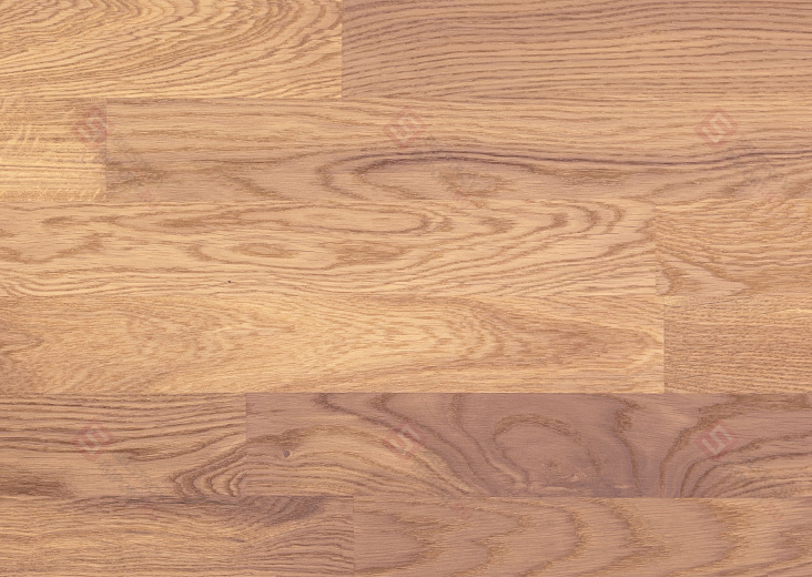 Паркетная доска Focus Floor Дуб Ostro White Matt 3S