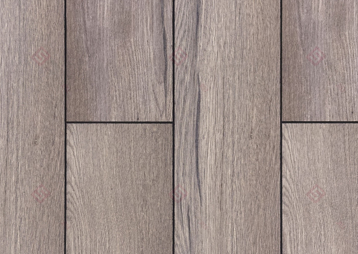 Дуб Пеллегрин ROC74