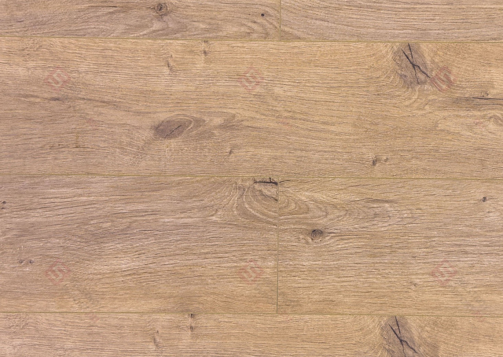 Дуб Арделан ROC45