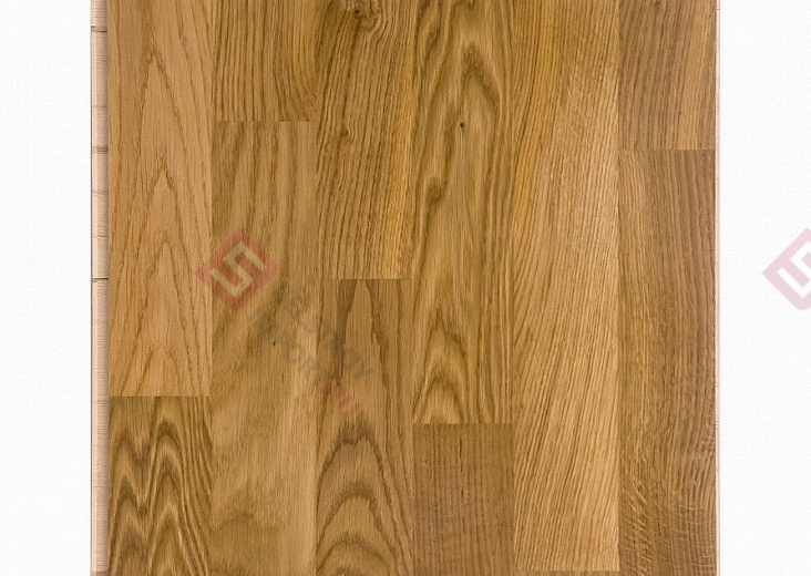 Паркетная доска Focus Floor Дуб Libeccio High Gloss 3S