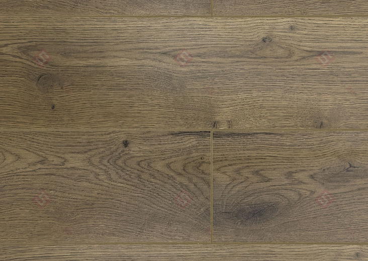 Ламинат FLoor a House Premium 10 мм Дуб York B 564