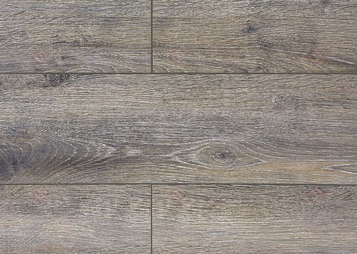 Ламинат FLoor a House Premium 10 мм Дуб Baron B 540