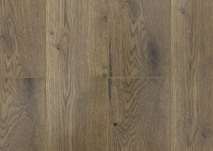 Ламинат FLoor a House Premium 10 мм Дуб York B 564