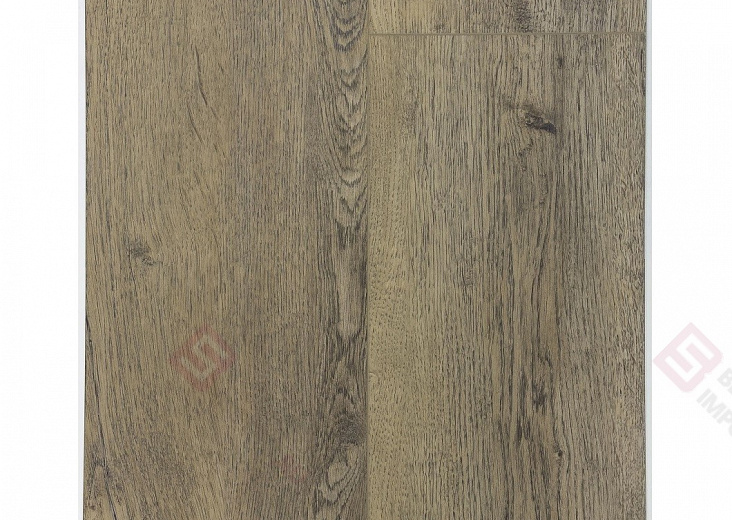 SPC ламинат Floorwood Quantum Дуб Томсон 8804