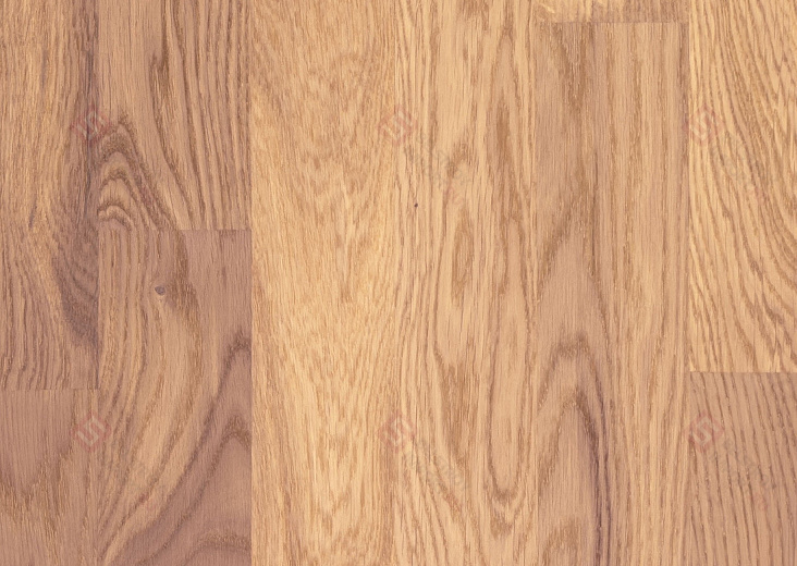 Паркетная доска Focus Floor Дуб Ostro White Matt 3S