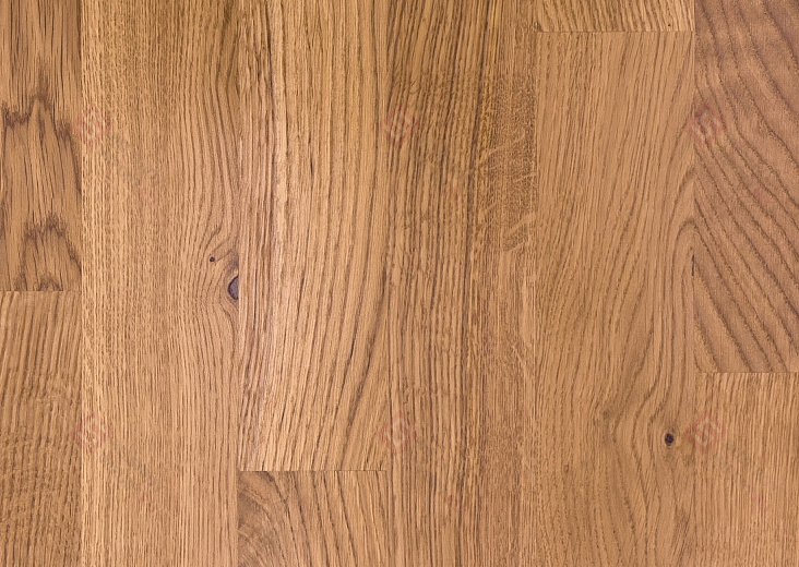 Паркетная доска Focus Floor Дуб Blanco Trend Lacquered 3S