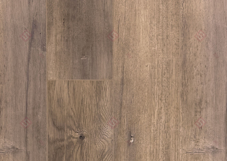 Ламинат FloorWay Standart Дуб Лимед PRE64