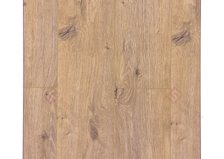 Дуб Арделан ROC45