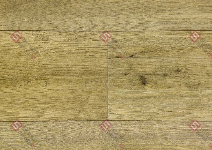 SPC ламинат Alpine Floor ProNature Caldas 62543