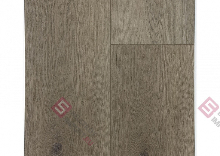 SPC ламинат Floorwood Quantum Дуб Кэмбел 6537