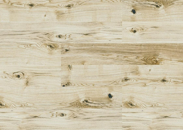 Клеевой пробковый пол Corkstyle Wood Oak Virginia White