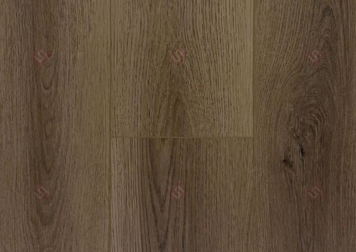 Мускат ЕСО 102-32