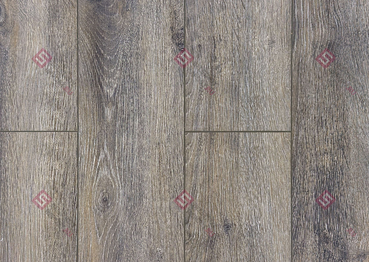 Ламинат FLoor a House Premium 10 мм Дуб Baron B 540
