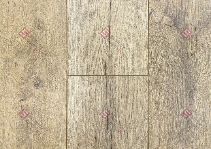 Ламинат FLoor a House Standard 12 мм Дуб Nobl B 113