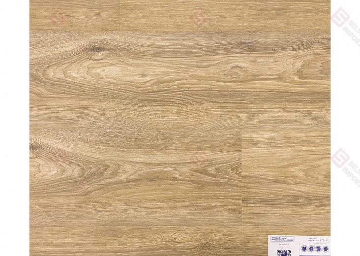 Дуб Кедровый IM8467