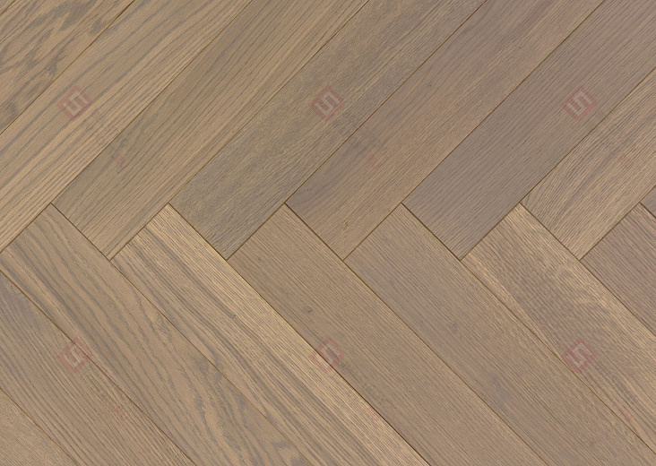 Дуб Шамбор селект