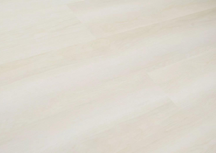 Виниловый ламинат SPC Evofloor Optima Oak Seashell - фото интерьера 4