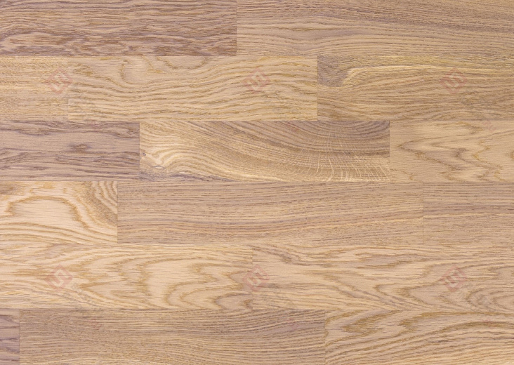Паркетная доска Focus Floor Дуб Storm White Matt 3S