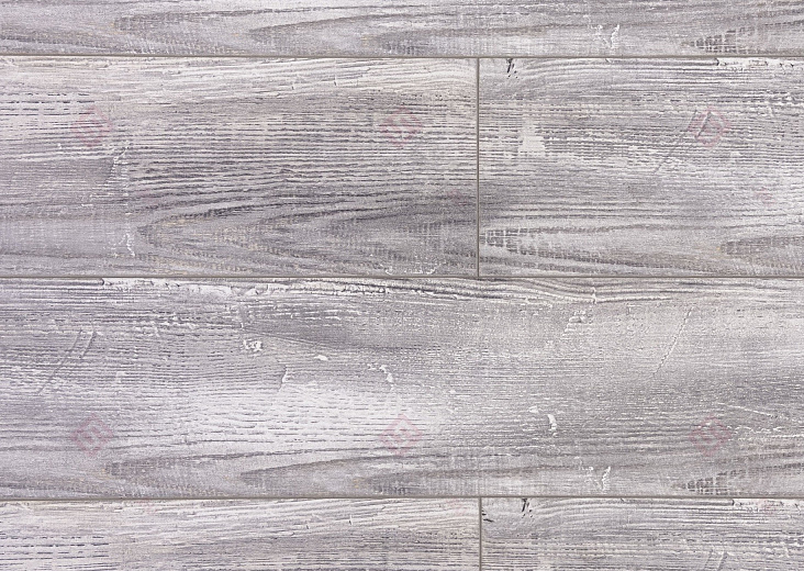 Дуб Дитрих ROC42