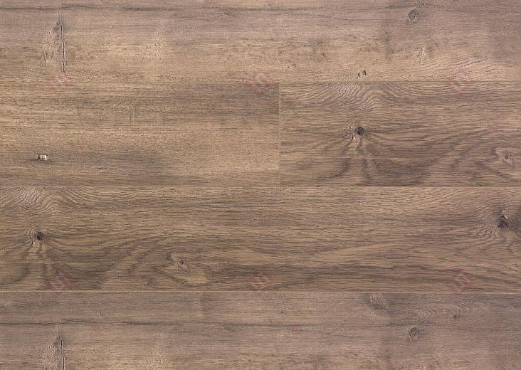 Ламинат FloorWay Standart Дуб Лимед PRE64